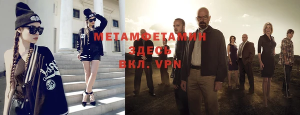 гидра Гатчина