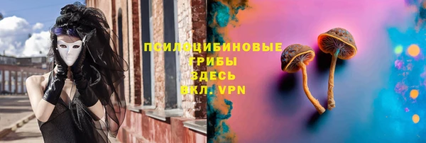 spice Володарск