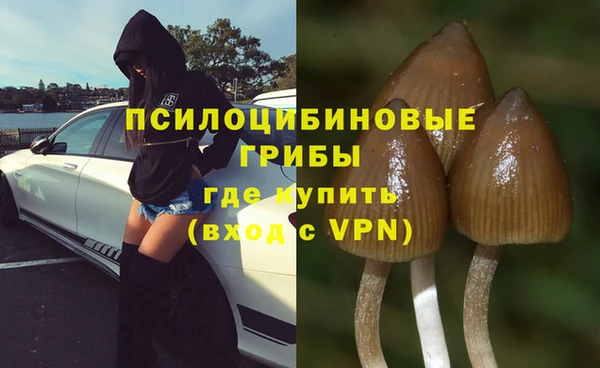 spice Володарск